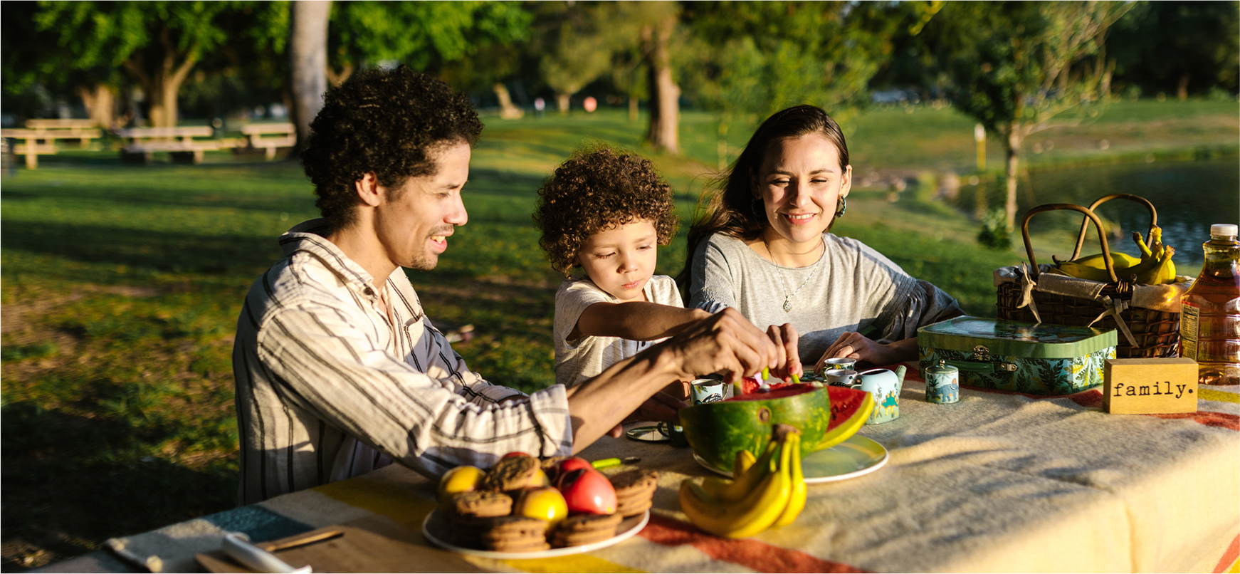 family-having-picnic-edited
